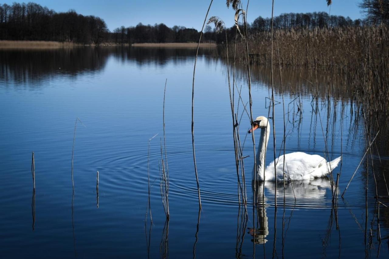 Pokoje Lotnik Nad Jeziorem Мронгово Экстерьер фото